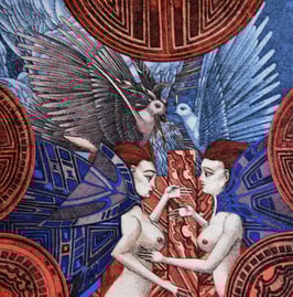 Hutter, Wolfgang - Federn und Schmetterlingsflügel