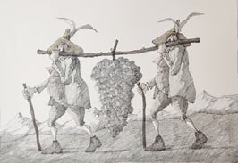 Flora, Paul - Weinrebe