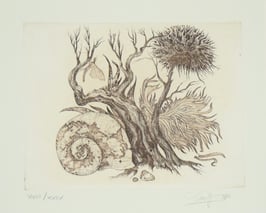 Steffek, Norbert - Aus dem Adventkalender 1980