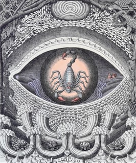 Bayer, Franz - Sternzeichen Skorpion