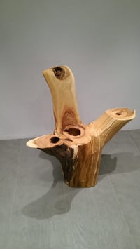 Fantasiehocker Apfelbaum