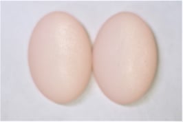 soft Pink matt 13x18mm