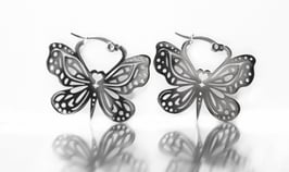 Creole Schmetterling