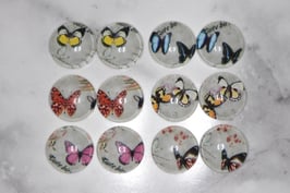 Schmetterling Frühling