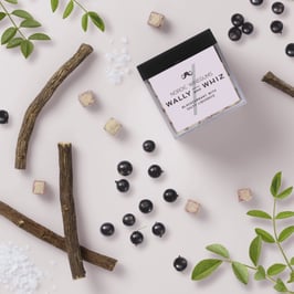 Schwarze Johannisbeere mit salzigem Lakritz, Cube