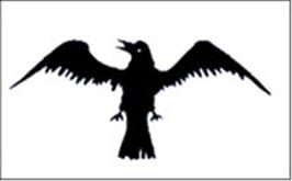 Viking Raven Flag (Nylon 3'x5')
