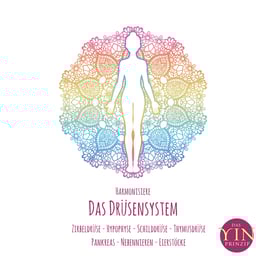 Meditation "Harmonisiere dein Drüsensystem"  (download)