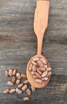 Pinto - Western Grown