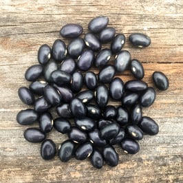 Black Coco Beans - Our Own