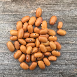 Swedish Brown - our own