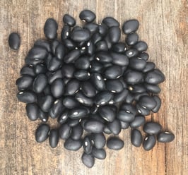 Black Turtle - Our Own - Organic