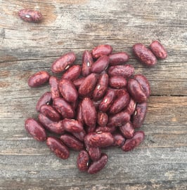 Scarlet Beauty - our own