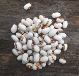 Yellow Eye - our own