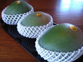 家庭用キーツマンゴー