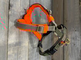 GESCHIRR *EASY TRICOLOR*  CAMOU/NEO O mit Gurt SAHARA / OLIV