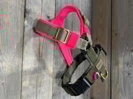 GESCHIRR *EASY TRICOLOR * CAMOU/NEO PINK mit Gurt SAHARA / OLIV