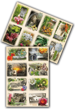 CARTES POSTALES DU PAYS D'ORTHE     & ENVELOPPES JEAN RAMEAU