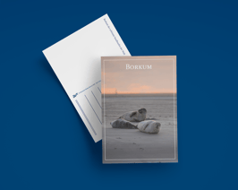 Postkarte Seehund hoch (Art.-Nr. 20014)