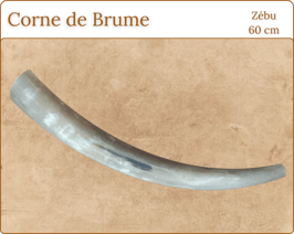 Corne de Brume en Zébu