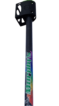 RIB Carbon Mast for coach boats