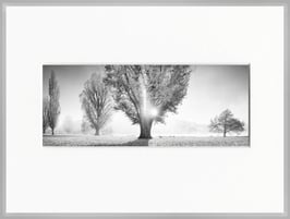 Edition 18x24 h2018137