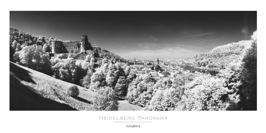 Poster "Schlossblick" 50x100 cm