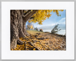 Edition 24x30 hc2018136