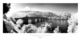 Poster "Alte Brücke" 50x100 cm