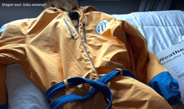 Goku Powdersuit Snowsuit