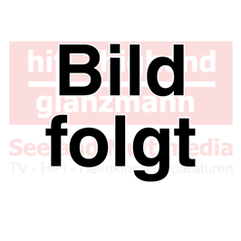 Revox Wandhalter zu Room Speaker