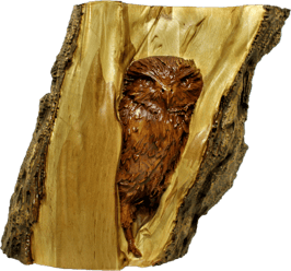 3D Relief Eule in einer Baumhöhle