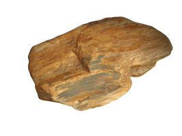 Versteinertes Holz Rohstein