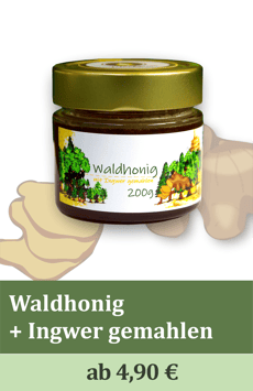 Gewürzter Waldhonig mit Ingwer