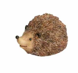 Igel