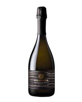 Macchia di Gatto-36 mesi