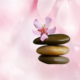 NUVISION ENERGY MINISCAN