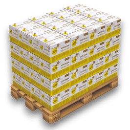 Apifonda Bienenfutterteig 5 x 2,5 kg | 64 Kartons