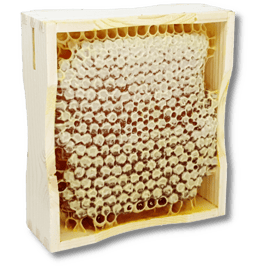 Wabenhonig im Holzrähmchen