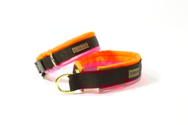 ELBsofty TRICOLOR NEO O &  NEO PINK mit Gurt  schwatt , Gum schwatt