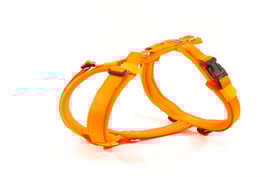 ELBgschirr *AIR * in Neo Orange