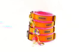 SOFTY   NEO PINK mit Gurt Neo orange     HU 27-37 !