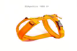 GESCHIRR easy in NEO ORANGE  LIMITED! nur noch so lange es Gurtband NEO Orange gibt!!!