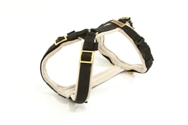 GESCHIRR EASY mit Softshell Beige & Gurtband Schwarz