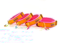 SOFTY  NEO PINK mit Gurt orange