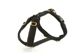 GESCHIRR XXS in Schwarz mit Gurtband schwarz