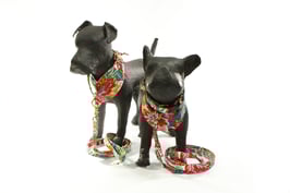 FABRIC COLLECTION *ISTAD*       HU 24-33