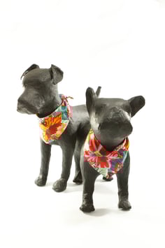 BANDANA *ISTAD*       HU 24-33