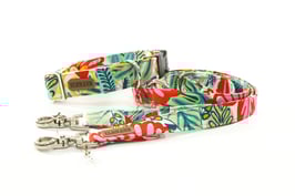 FABRIC COLLECTION *ISTAD*     für Pfoten ab 8KILO !