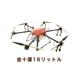 金十運 らくらく８点セット