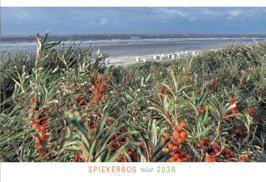 Spiekeroog Kalender 2026 Wandkalender DIN A3